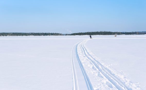冬のサイマー湖の風景　フィンランドの冬の風景