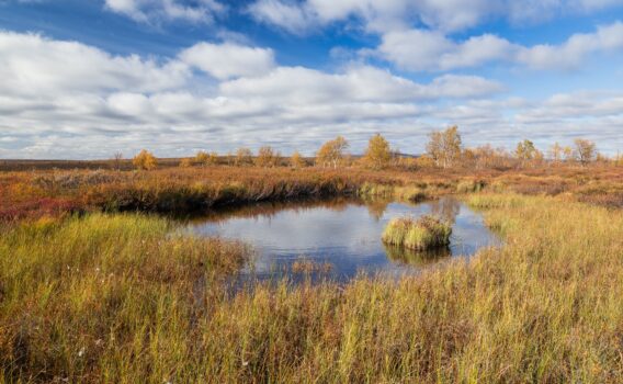 フィンランド北部の秋の風景　フィンランドの風景