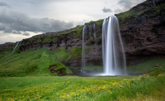 花とセリャラントスフォス 　アイスランドの風景
