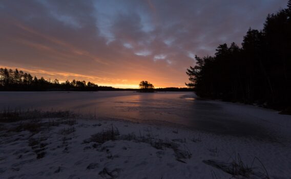冬の日の出の風景　フィンランドの風景