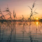夕暮れの湖　フィンランドの風景