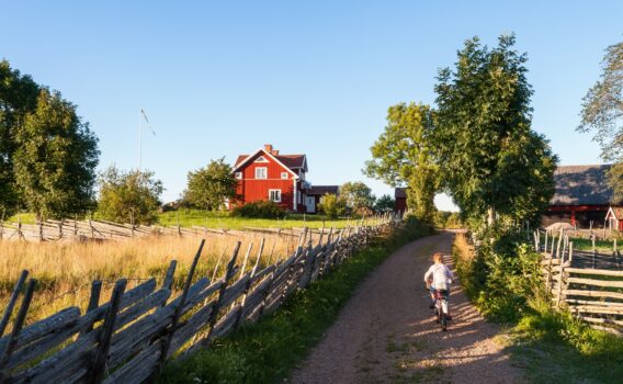 スウェーデンの田舎の風景