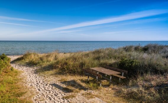 ジュアスのビーチ　デンマークの風景