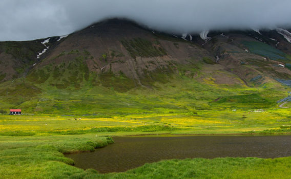エイヤフィヨルズルの風景　アイスランドの風景