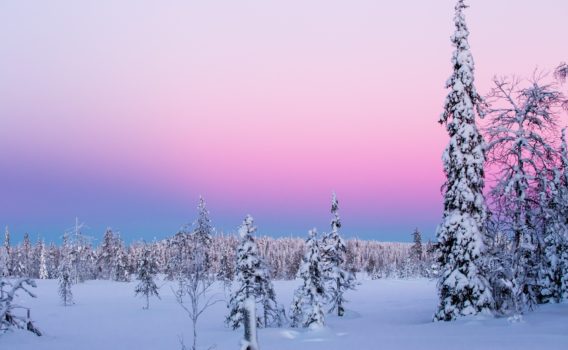 冬のルカの風景　フィンランドの冬の風景
