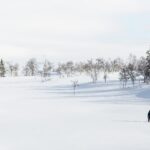 冬の雪原　スウェーデンの冬の風景