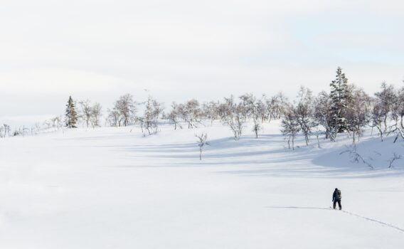 冬の雪原　スウェーデンの冬の風景