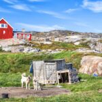 グリーンランド犬と集落　グリーンランドの風景