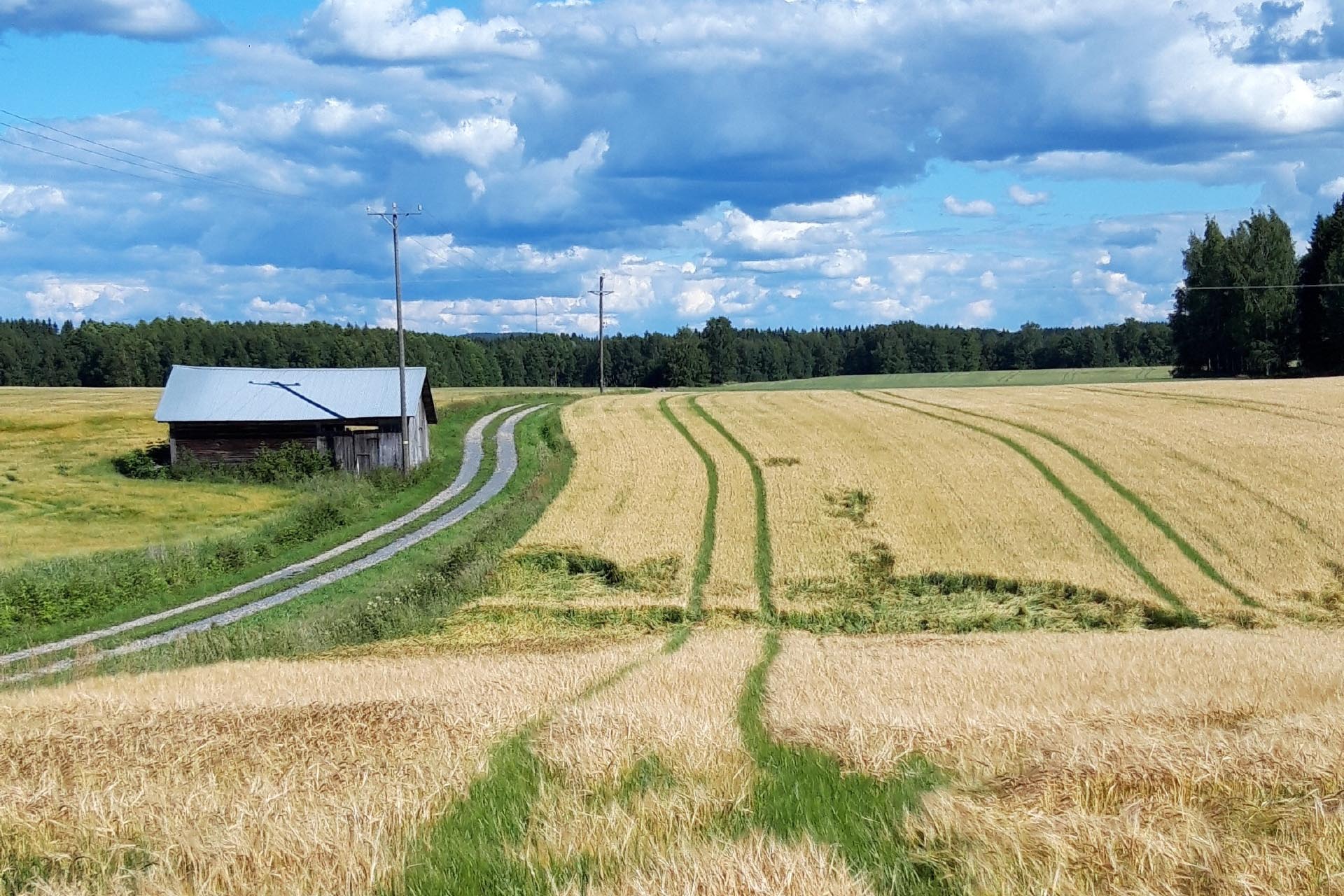 ハウホの風景　フィンランドの田園風景