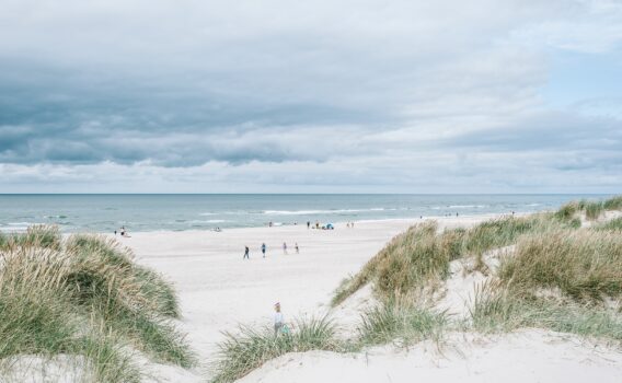 北海沿岸の風景　デンマークの風景