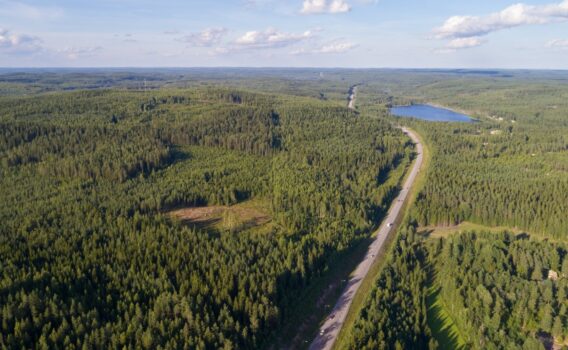 森と道路　フィンランドの風景