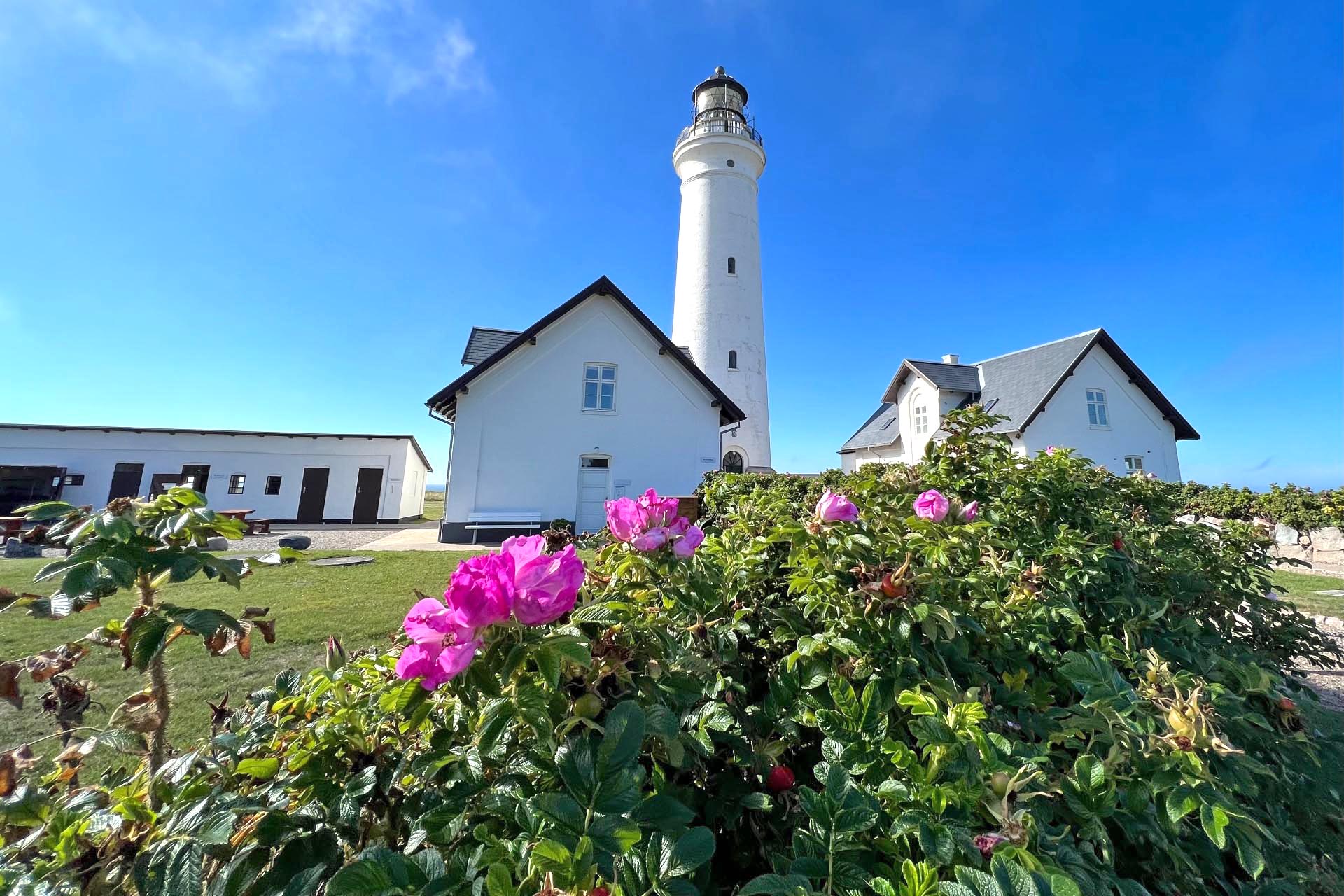 ヒアツハルスの灯台　デンマークの風景