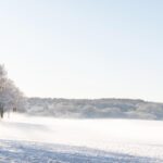 冬のデンマーク　コペンハーゲン郊外の風景