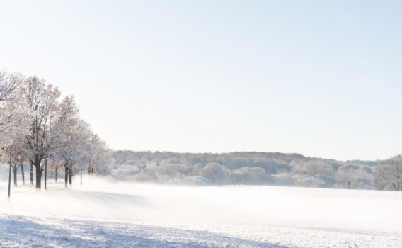 冬のデンマーク　コペンハーゲン郊外の風景