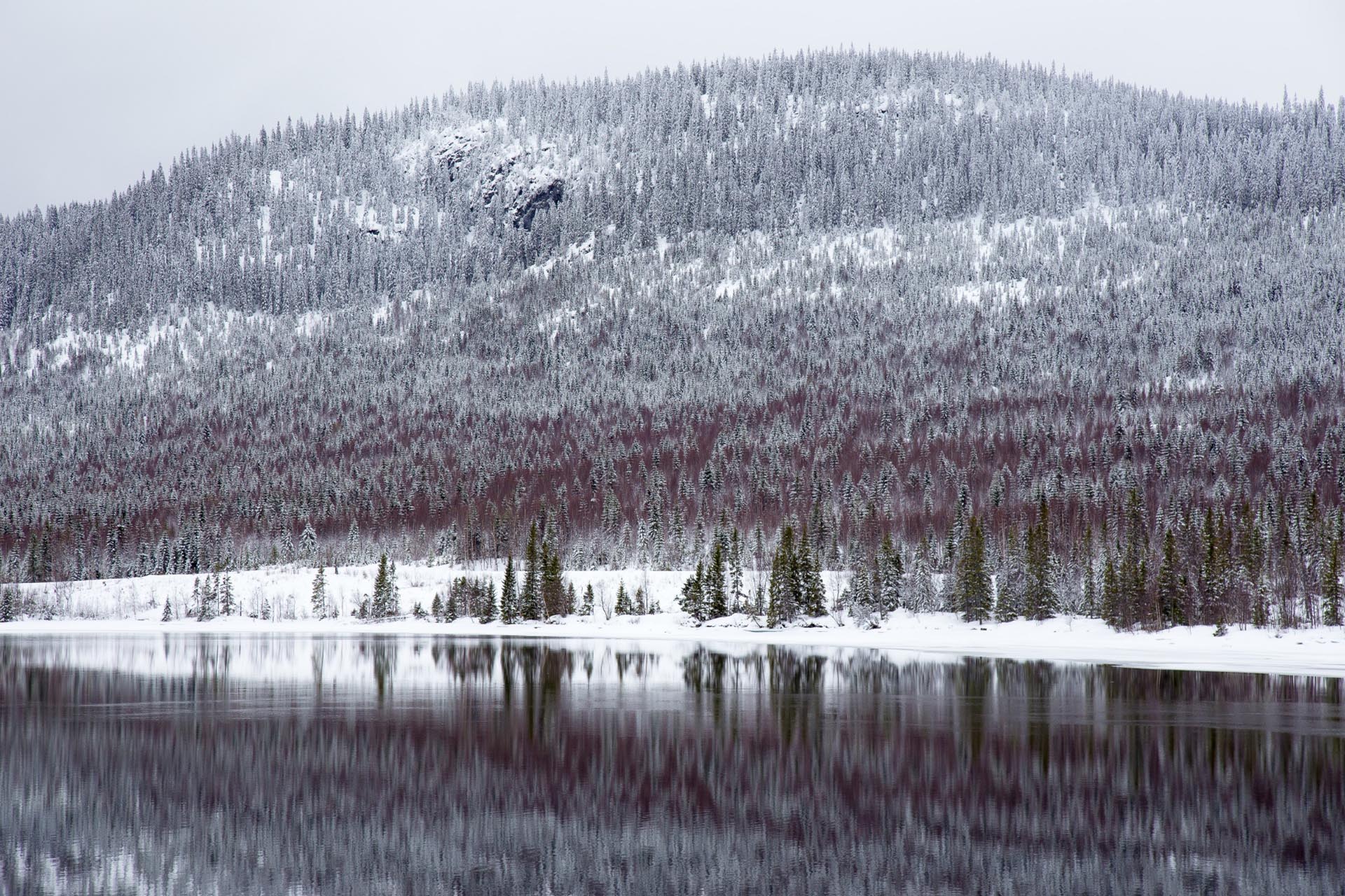 冬のイェムトランド　スウェーデンの冬の風景
