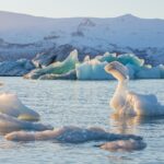 ヨークルスアゥルロゥン氷河湖　アイスランドの風景