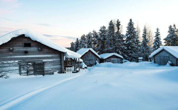 冬のカイヌラスヤルヴィ　スウェーデンの冬の風景