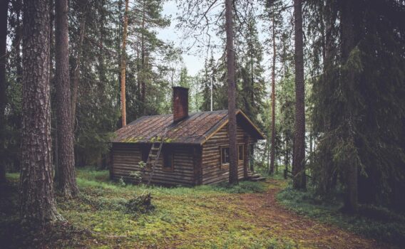 ラップランドの森　フィンランドの風景
