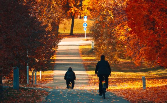 ラハティの風景　フィンランドの秋の風景