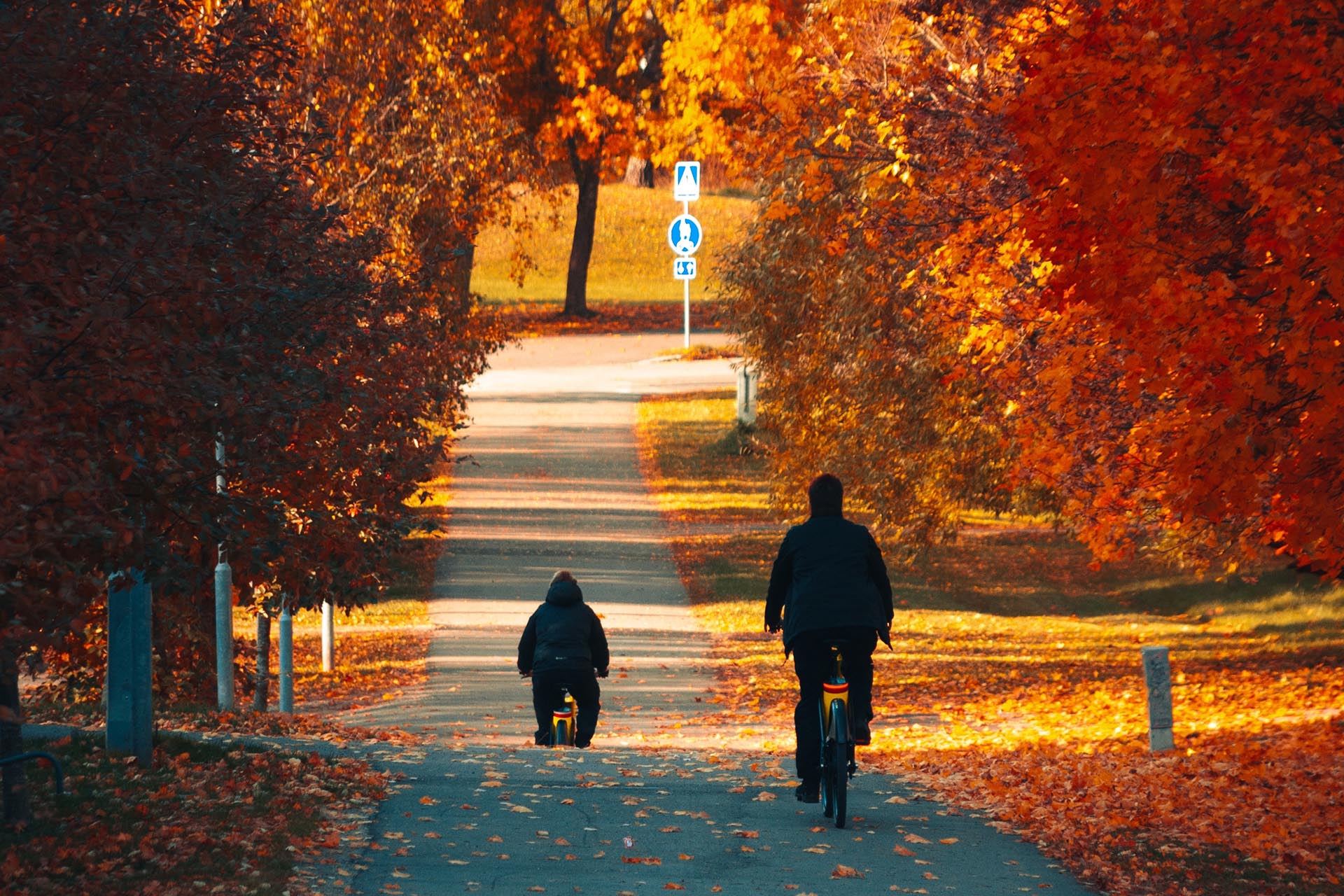 ラハティの風景　フィンランドの秋の風景