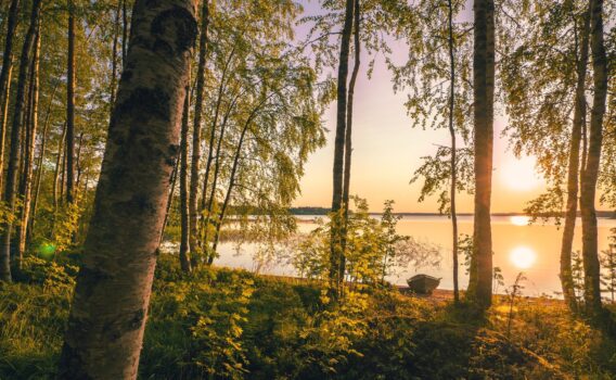 サーリヤルヴィの絶景　フィンランドの風景