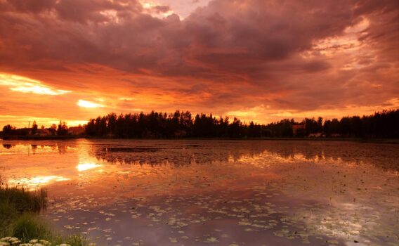 夕方の湖　フィンランドの風景