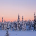 冬のラップランドの風景　フィンランドの冬の風景