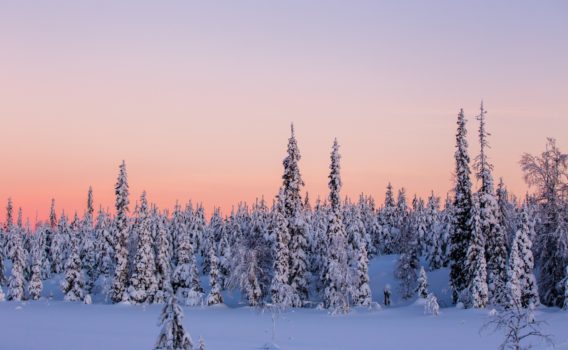冬のラップランドの風景　フィンランドの冬の風景