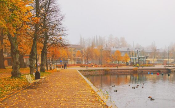 秋のラッペーンランタ　フィンランドの風景