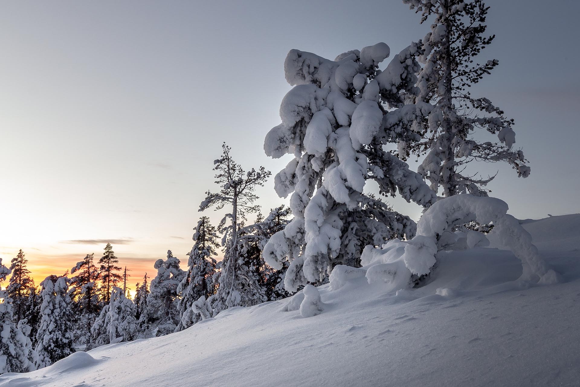 冬のレヴィ　フィンランドの風景
