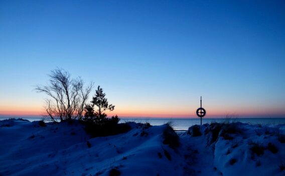 冬のファルスター島の風景　デンマークの冬の風景