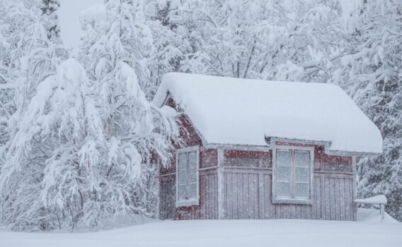 真冬のビッタンギ　スウェーデンの風景