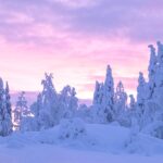 真冬のスウェーデン　キルナ郊外の風景