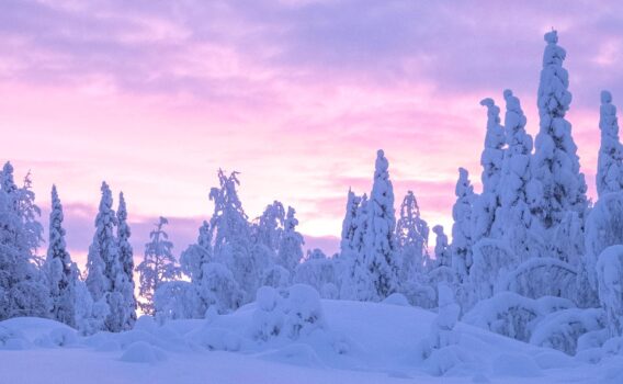 真冬のスウェーデン　キルナ郊外の風景
