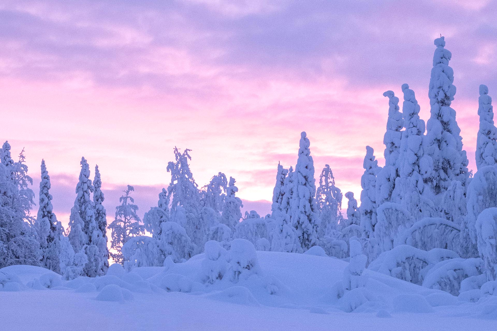 真冬のスウェーデン　キルナ郊外の風景