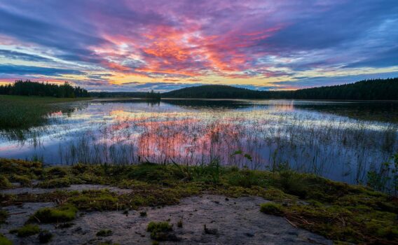 夕暮れの湖　ユヴァスキュラ近郊　フィンランドの風景