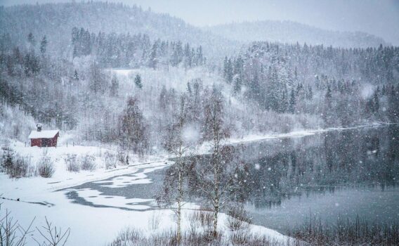 冬のソレフテオ　スウェーデンの風景
