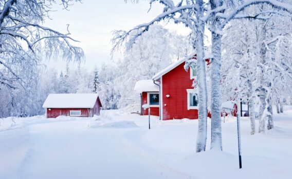 冬の森の風景　フィンランドの冬の風景