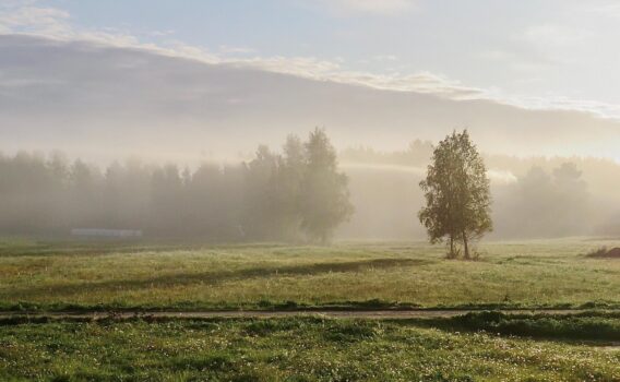 霧の風景　フィンランドの風景