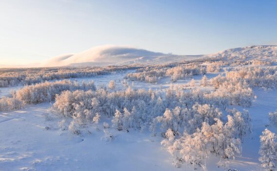 冬のヘリエダーレン地方　スウェーデンの冬の風景