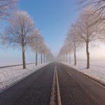 ロスキレの冬の風景　デンマークの風景