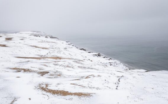 冬の北海沿岸　デンマークの冬の風景