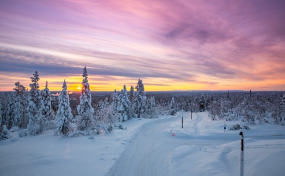 冬のサーリセルカの夕暮れ　フィンランドの冬の風景