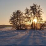 冬のシグトゥーナ郊外の風景　スウェーデンの冬の風景