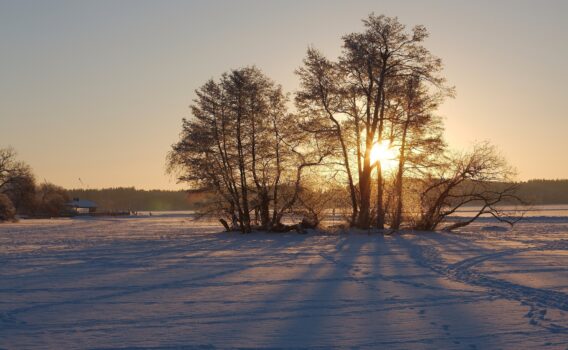 冬のシグトゥーナ郊外の風景　スウェーデンの冬の風景