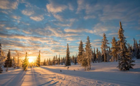 冬の夕暮れの風景　フィンランドの冬の風景