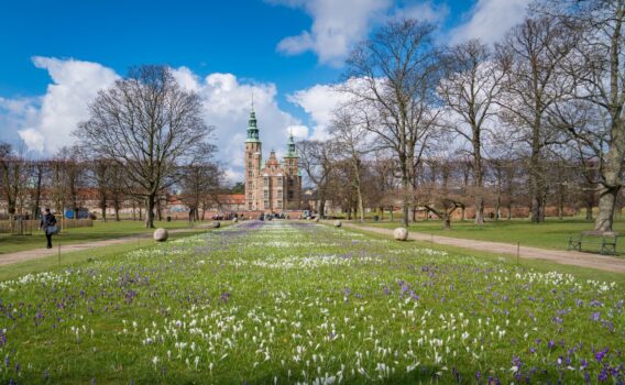 クロッカスの花とローゼンボー城　デンマークの春の風景