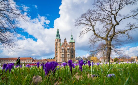 春のデンマークの風景　ローゼンボー城とクロッカスの花