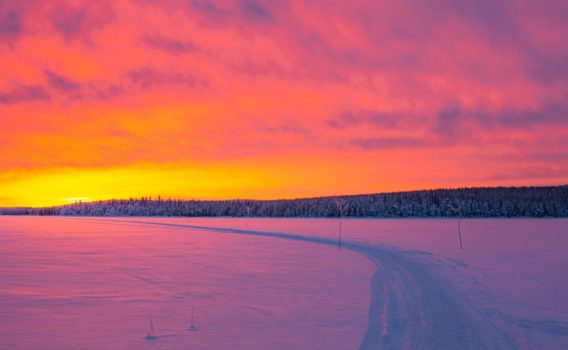 冬のラップランド　パロヤルヴィ湖の朝の風景　フィンランドの冬の風景