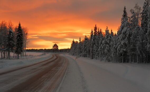 冬の朝焼けの風景　フィンランドの風景